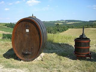 Im Weinanbaugebiet