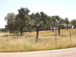 Landschaft der Extremadura