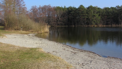Rinser See